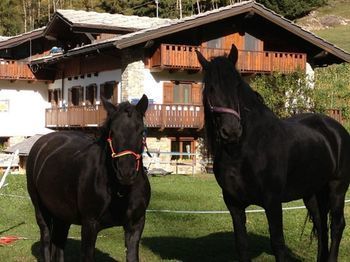 Le Reve Affittacamere